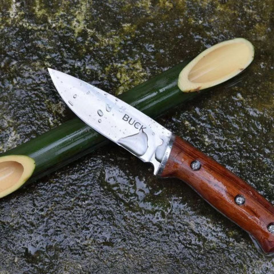 Buck Warrior's Knife Portable Diving Straight Knife Wilderness Survival Small Knife Tactical Swiss Army Knife