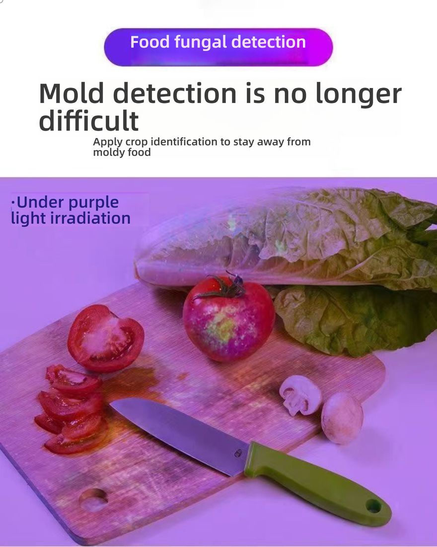  Aflatoxin Mycotoxin Fluorescent Agent Detector Pen 365nm UV Light for Food Safety